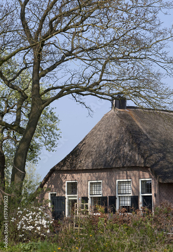 Old Saxon farmhouse Dokter Larijweg Ruinerwold Drente  the Netherlands. Spring. © A