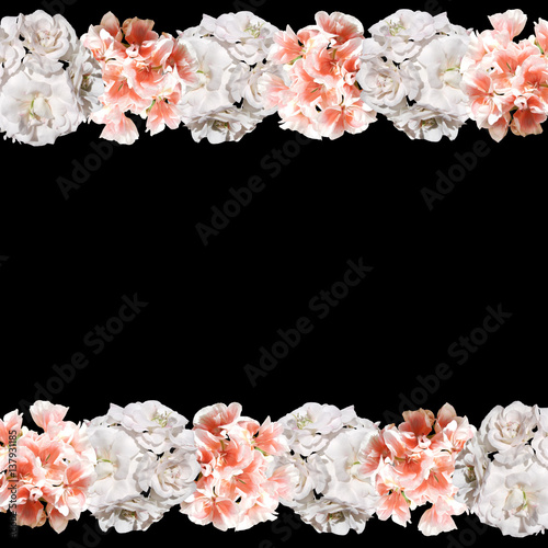 Fototapeta Naklejka Na Ścianę i Meble -  Beautiful floral background of orange and white pelargonium 