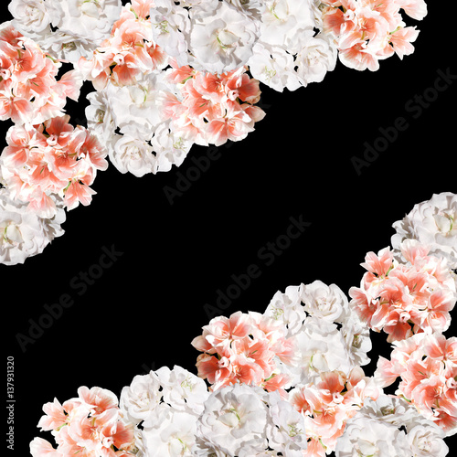 Fototapeta Naklejka Na Ścianę i Meble -  Beautiful floral background of orange and white pelargonium 