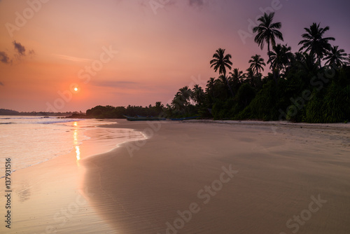 Tropical sandy beach with palm trees at sunset
