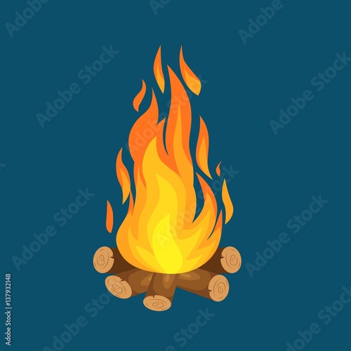 Obraz na płótnie vector illustration of  burning bonfire with wood on white background