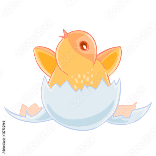 Cute small yellow chicken hatched from an egg, and sits in the shell.