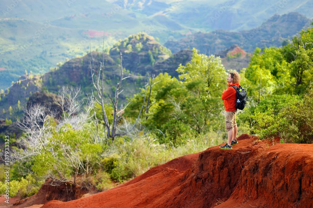 Obraz premium Young male tourist enjoying the view into Waimea Canyon, Kauai, Hawaii