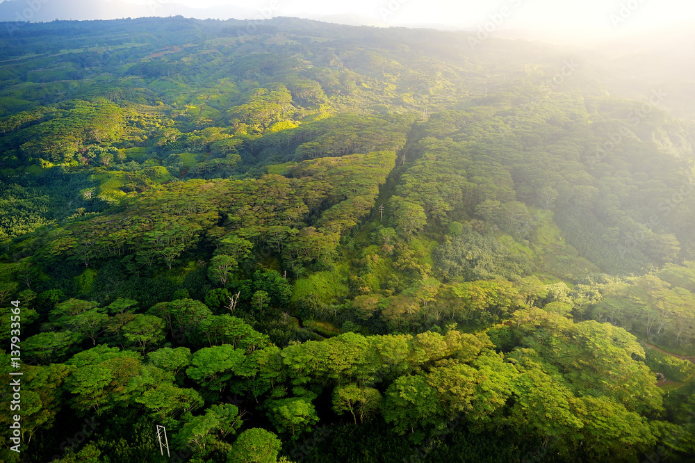 Stunning aerial view of spectacular jungles, Kauai