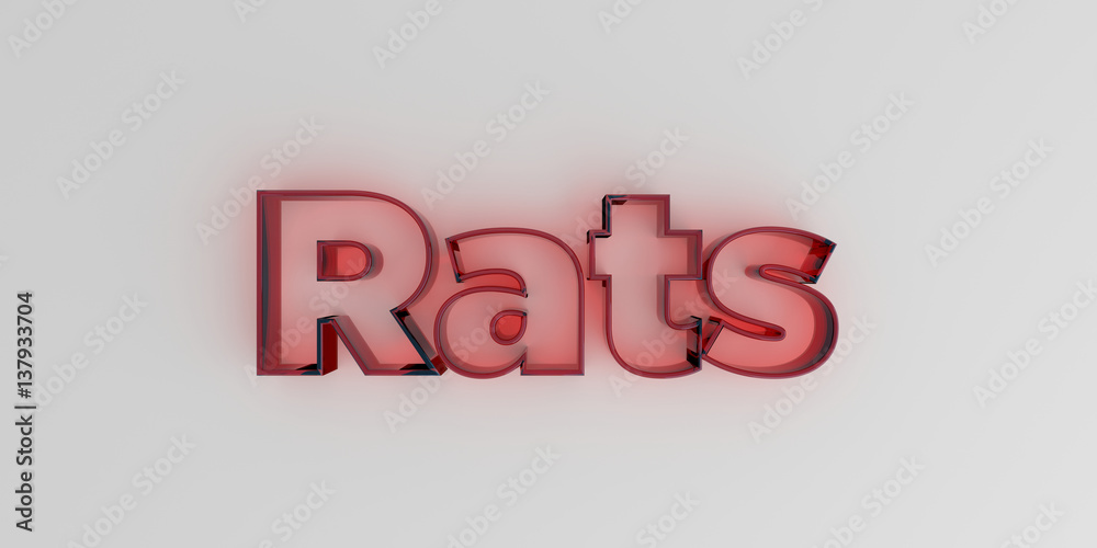 Rats - Red glass text on white background - 3D rendered royalty free stock image. Rats - Red glass text on white background - 3D rendered royalty free stock image.
