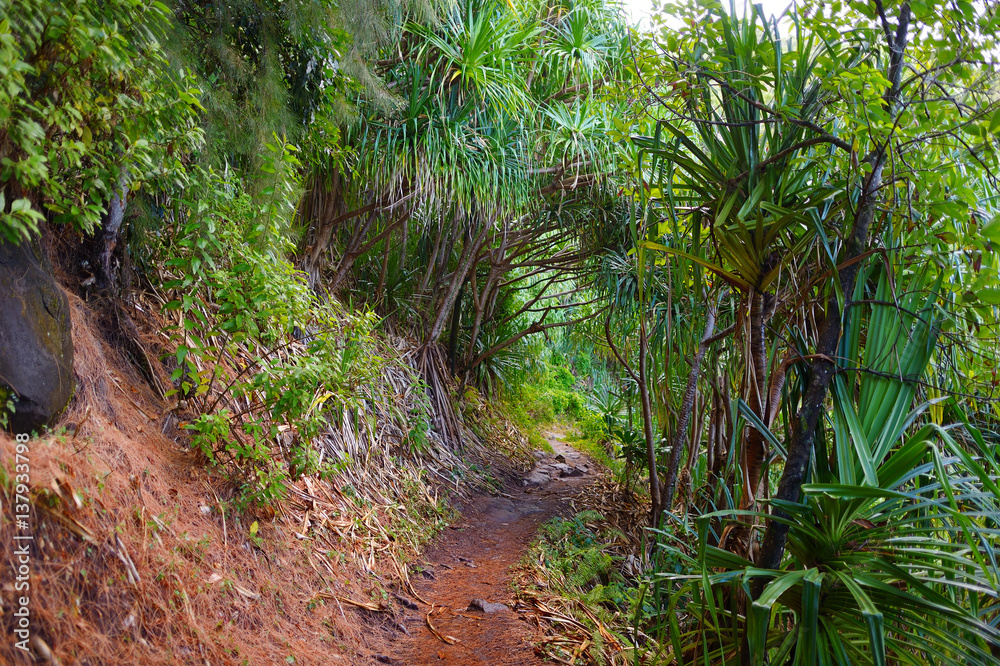 View of the famous Kalalau trail along Na Pali coast of the island of Kauai View of the famous Kalalau trail along Na Pali coast of the island of Kauai
