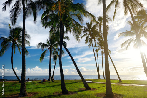 Sunrise with palm trees in Salt Pond Beach Park on Kauai