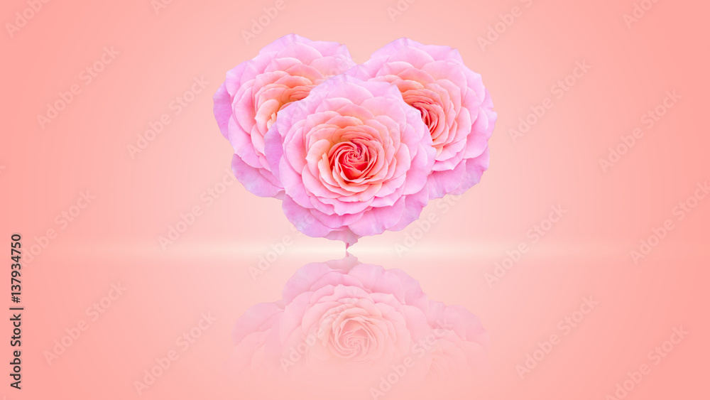 Heart shape from a pink rose. Heart shape from a pink rose.