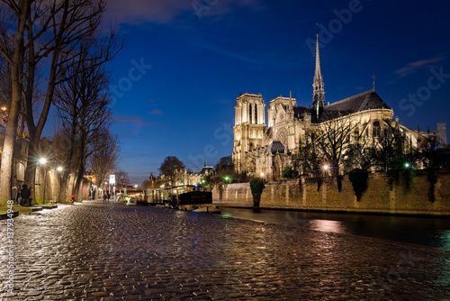 Notre-Dame de Paris and Seine river at blue hour