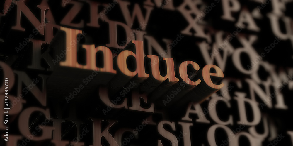 Induce - Wooden 3D rendered letters/message.  Can be used for an online banner ad or a print postcard.
