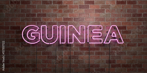 GUINEA - fluorescent Neon tube Sign on brickwork - Front view - 3D rendered royalty free stock picture. Can be used for online banner ads and direct mailers..