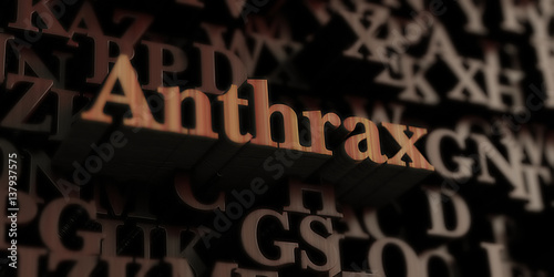 Fotografía Anthrax - Wooden 3D rendered letters/message