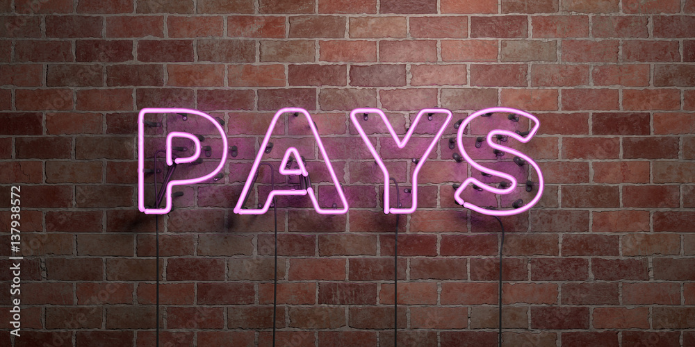 Obraz premium PAYS - fluorescent Neon tube Sign on brickwork - Front view - 3D rendered royalty free stock picture. Can be used for online banner ads and direct mailers..