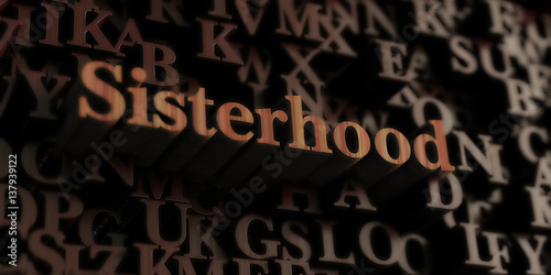 Sisterhood - Wooden 3D rendered letters/message.  Can be used for an online banner ad or a print postcard.