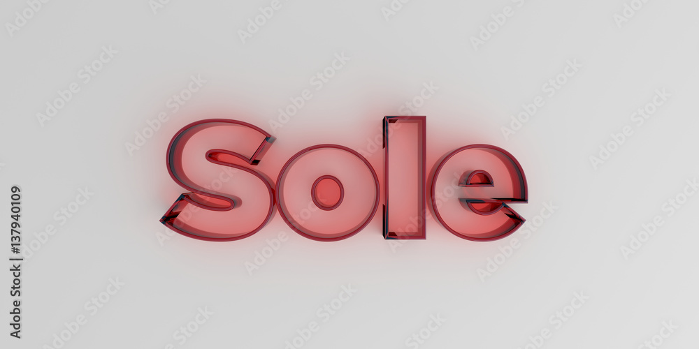Sole - Red glass text on white background - 3D rendered royalty free stock image. Sole - Red glass text on white background - 3D rendered royalty free stock image.