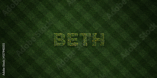 Cuadro en lienzo BETH - fresh Grass letters with flowers and dandelions - 3D rendered royalty free stock image