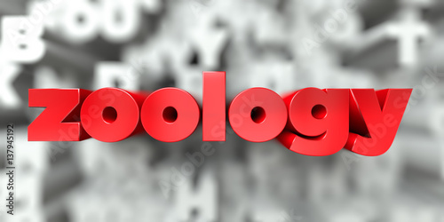 zoology -  Red text on typography background - 3D rendered royalty free stock image. This image can be used for an online website banner ad or a print postcard.