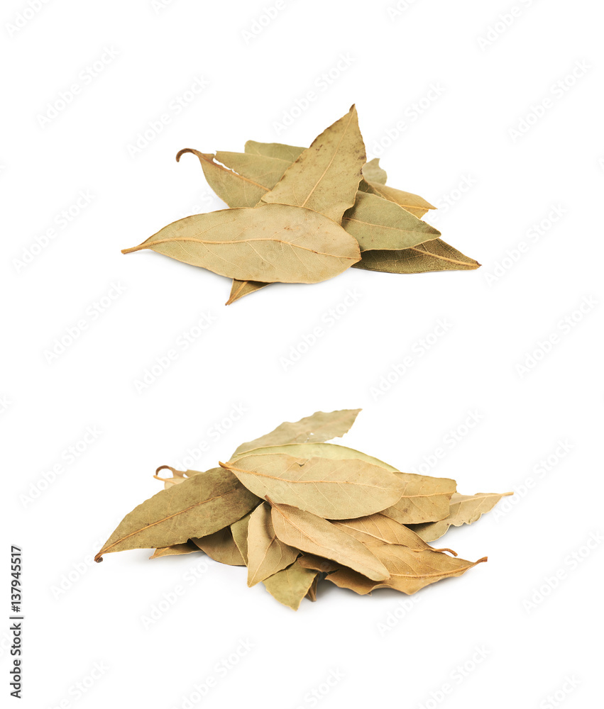 Pile of dried bay leaves isolated