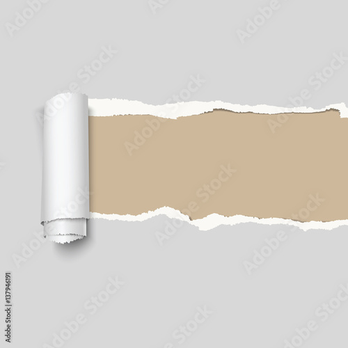 Realistic vector gray torn paper.