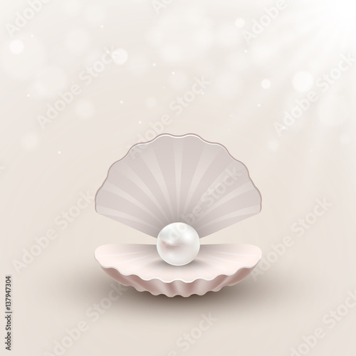 Shell with pearl inside on abstract background, vector illustration
