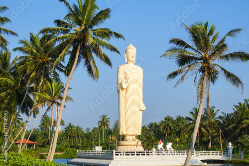 Buddha Statue at Tsunami Honganji Viharaya
