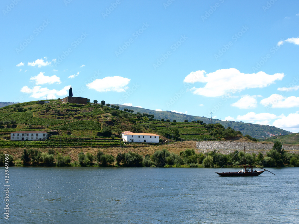 vineyard along Douro river in Portugal ポルトガルのドウロ川沿いの丘の葡萄畑とワイナリーの銅像