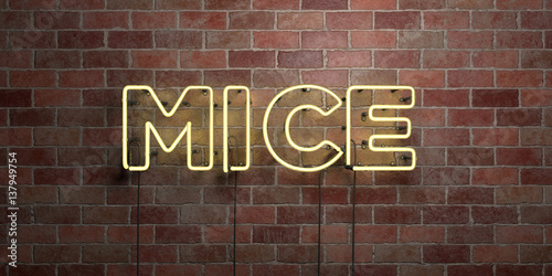 MICE - fluorescent Neon tube Sign on brickwork - Front view - 3D rendered royalty free stock picture. Can be used for online banner ads and direct mailers.. © Chris Titze Imaging