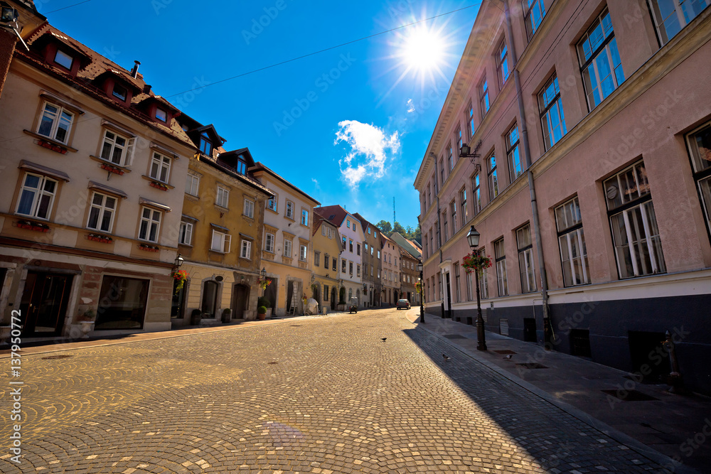 Old Ljubljana cityscape cobbled street view