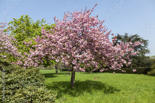 Japanischer Garten Düsseldorf