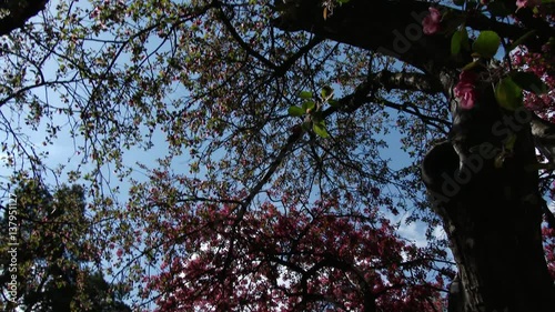 Young lovely girl reading book in park city, 4K, UHD, UltraHD
