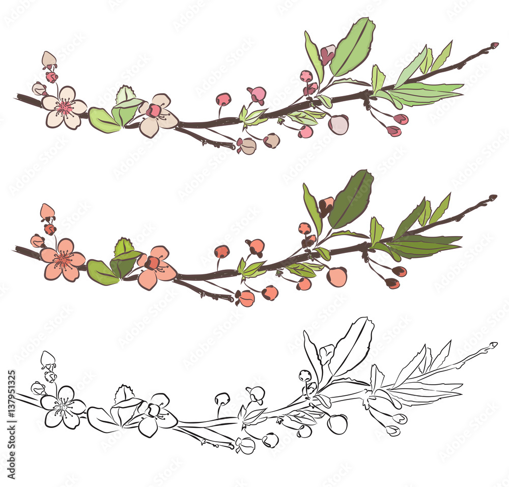 Set with three branches of cherry blossom. Little pink flowers on white background. Vector design elements.