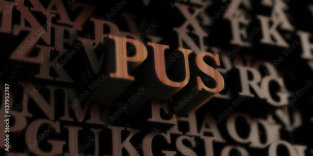 pus - Wooden 3D rendered letters/message.  Can be used for an online banner ad or a print postcard.