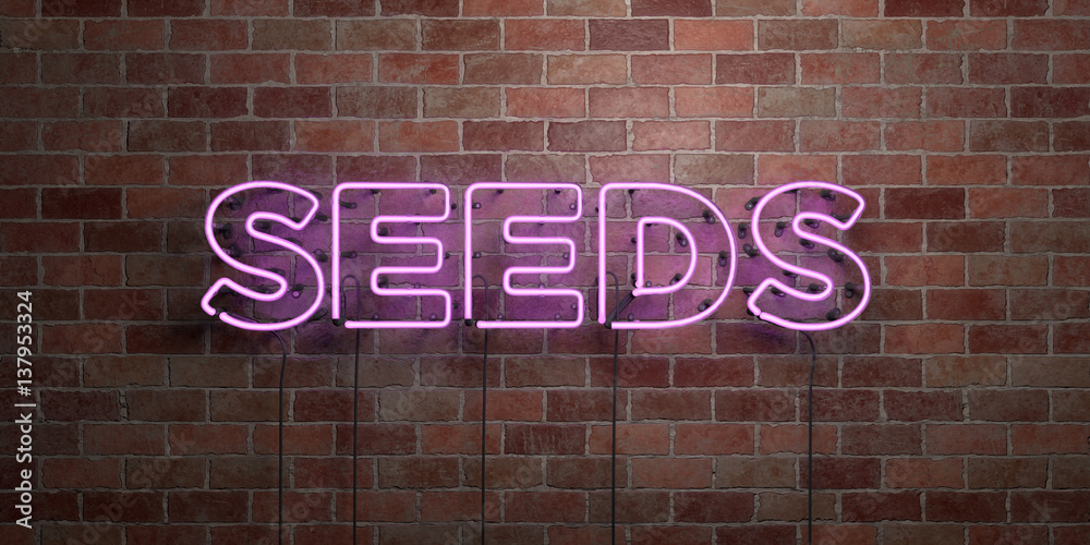 Obraz premium SEEDS - fluorescent Neon tube Sign on brickwork - Front view - 3D rendered royalty free stock picture. Can be used for online banner ads and direct mailers..