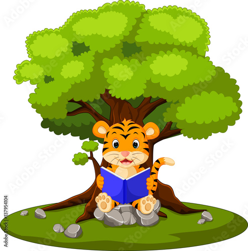 Fototapeta Naklejka Na Ścianę i Meble -  tiger reading book and sitting on the stone