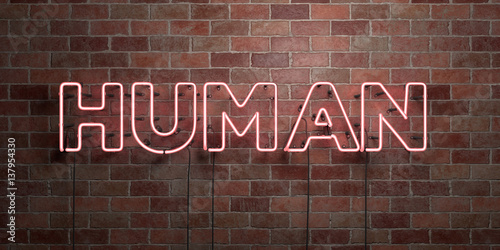 HUMAN - fluorescent Neon tube Sign on brickwork - Front view - 3D rendered royalty free stock picture. Can be used for online banner ads and direct mailers..