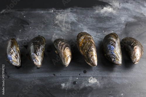 A row of mussels on a slate slab photo