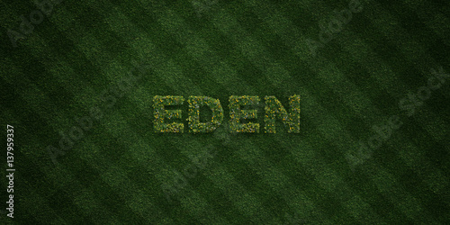 Fotografija EDEN - fresh Grass letters with flowers and dandelions - 3D rendered royalty free stock image