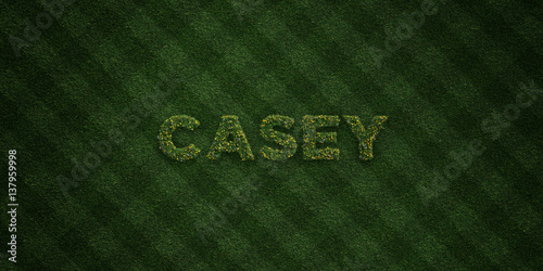 CASEY - fresh Grass letters with flowers and dandelions - 3D rendered royalty free stock image. Can be used for online banner ads and direct mailers..