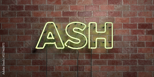 ASH - fluorescent Neon tube Sign on brickwork - Front view - 3D rendered royalty free stock picture. Can be used for online banner ads and direct mailers..