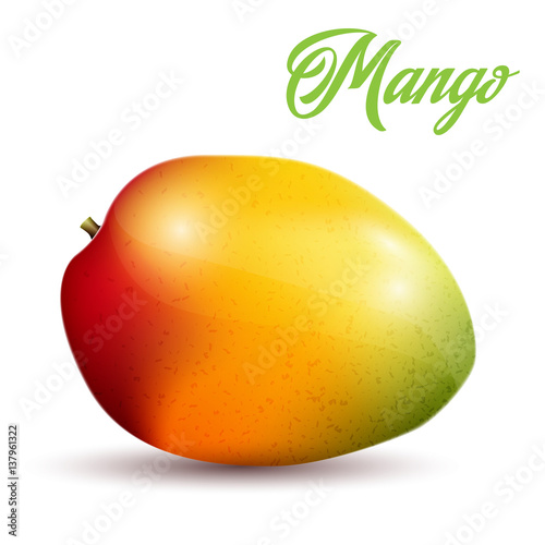 Mango on white background