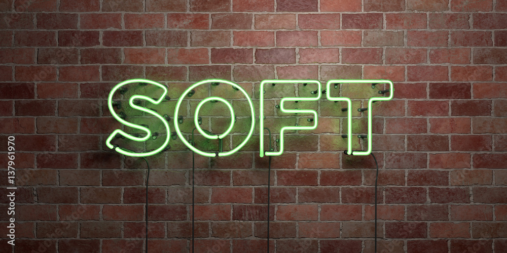 Fototapeta premium SOFT - fluorescent Neon tube Sign on brickwork - Front view - 3D rendered royalty free stock picture. Can be used for online banner ads and direct mailers..