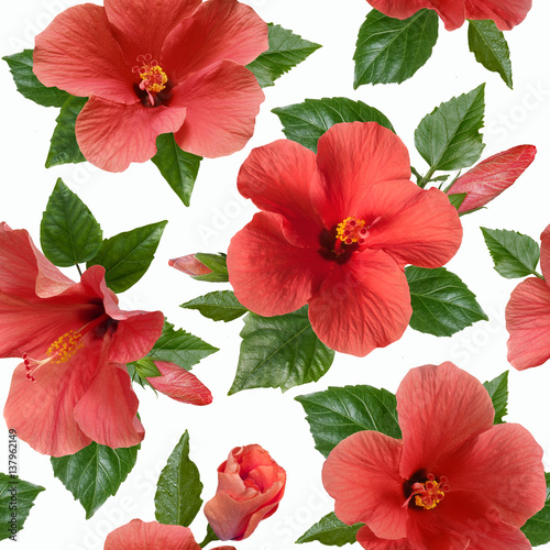 pink hibiscus flowers seamless pattern