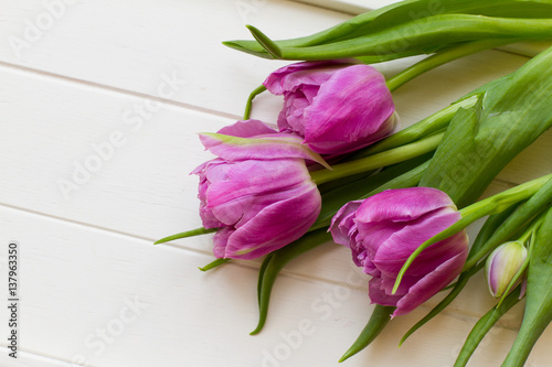 Violet tulips on white wooden background