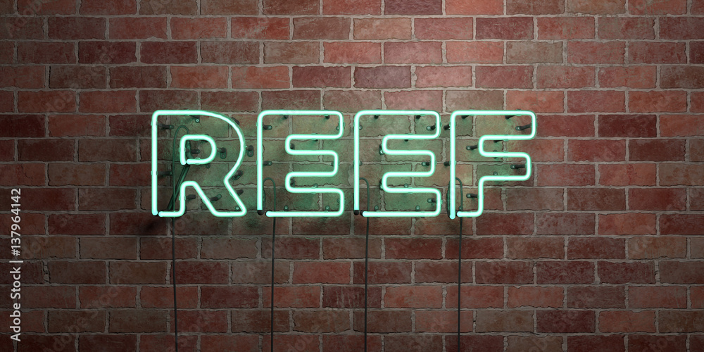 REEF - fluorescent Neon tube Sign on brickwork - Front view - 3D rendered royalty free stock picture. Can be used for online banner ads and direct mailers.. REEF - fluorescent Neon tube Sign on brickwork - Front view - 3D rendered royalty free stock picture. Can be used for online banner ads and direct mailers..