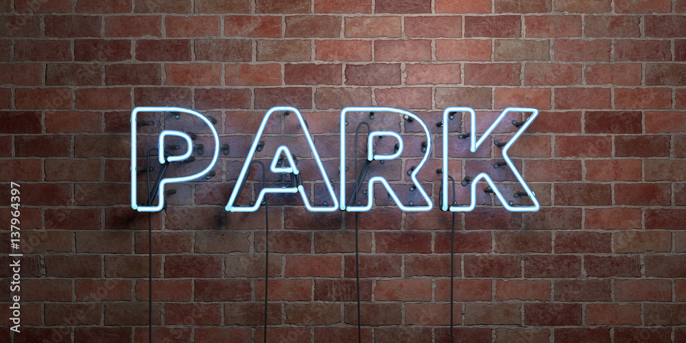 Obraz premium PARK - fluorescent Neon tube Sign on brickwork - Front view - 3D rendered royalty free stock picture. Can be used for online banner ads and direct mailers..