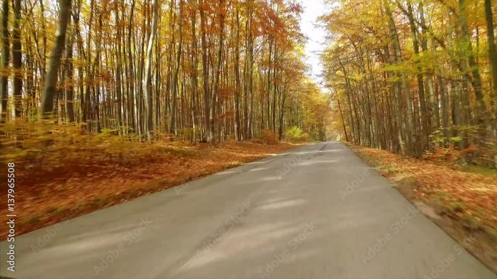 Driving car in beautiful autumn woods with colorful foliage tree in rural area. Driving car in beautiful autumn woods with colorful foliage tree in rural area.