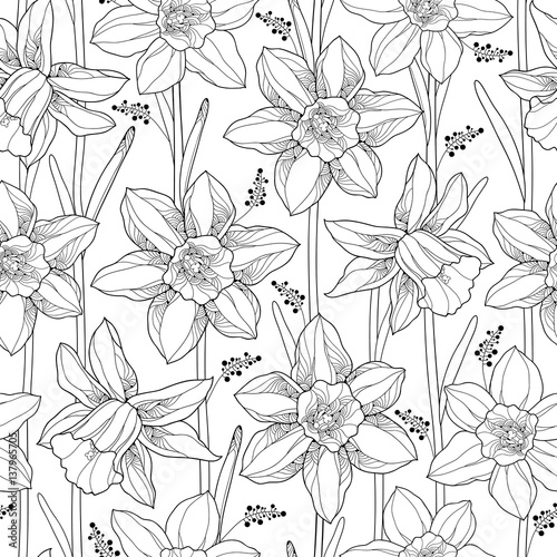 Vector seamless pattern with outline narcissus or daffodil flower and leaves on the white background. Floral background with narcissus for spring design or adult coloring book in contour style.