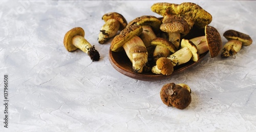 wild forest mushrooms in a wooden box on white marble table, selective focus