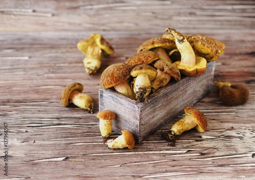 wild forest mushrooms in wooden box on a rustic table, selective focus