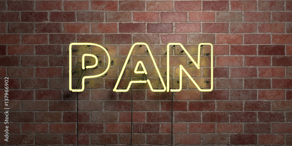 Obraz premium PAN - fluorescent Neon tube Sign on brickwork - Front view - 3D rendered royalty free stock picture. Can be used for online banner ads and direct mailers..